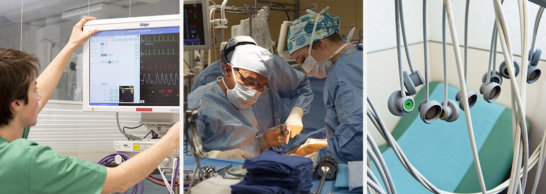 Les maladies cardiaques